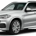 Автомобильные коврики ЭВА (EVA) для BMW X5 III (F15) 2013-2018 