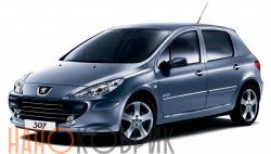 Автомобильные коврики ЭВА (EVA) для Peugeot 307 I хетчбек 5 дв 2001-2008 